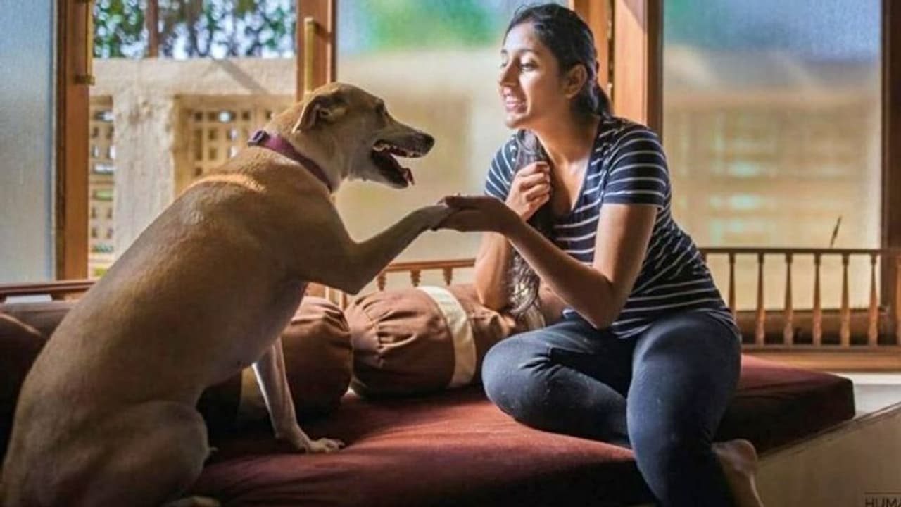 'എന്റെ ജീവിതം മാറ്റിമറിച്ചത് ഒരു തെരുവുപട്ടിയാണ്'; ഇത് മിതാലിയുടെ കഥ...