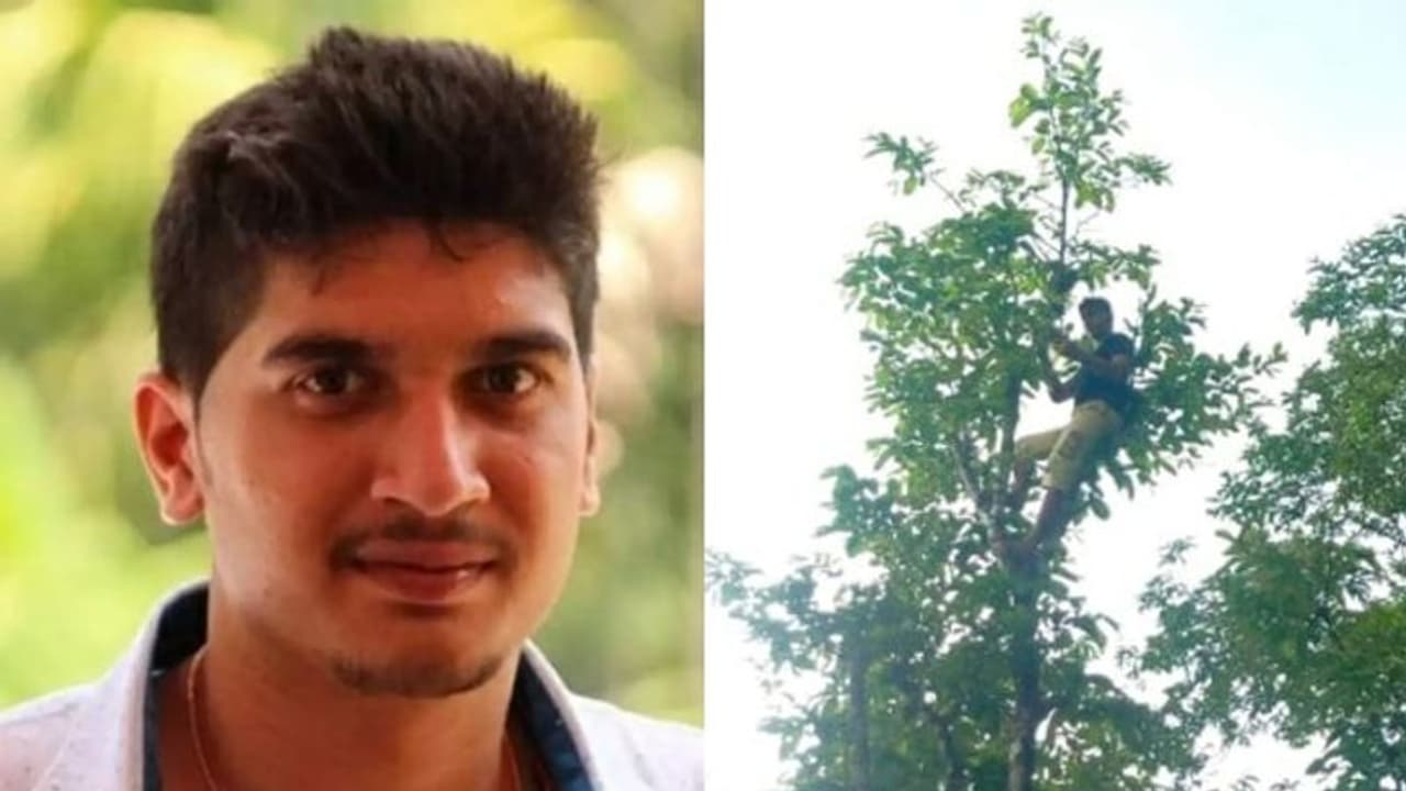 ദിവസേന ഒരു കിലോ മീറ്റര് നടത്തം, പിന്നീട് മൂന്ന് മണിക്കൂർ മരത്തിൽ, ലോക്ക്ഡൗണിൽ വിദ്യാർത്ഥിയുടെ സാഹസിക പഠനം ദിവസേന ഒരു കിലോ മീറ്റര് നടത്തം, പിന്നീട് മൂന്ന് മണിക്കൂർ മരത്തിൽ, ലോക്ക്ഡൗണിൽ വിദ്യാർത്ഥിയുടെ സാഹസിക പഠനം