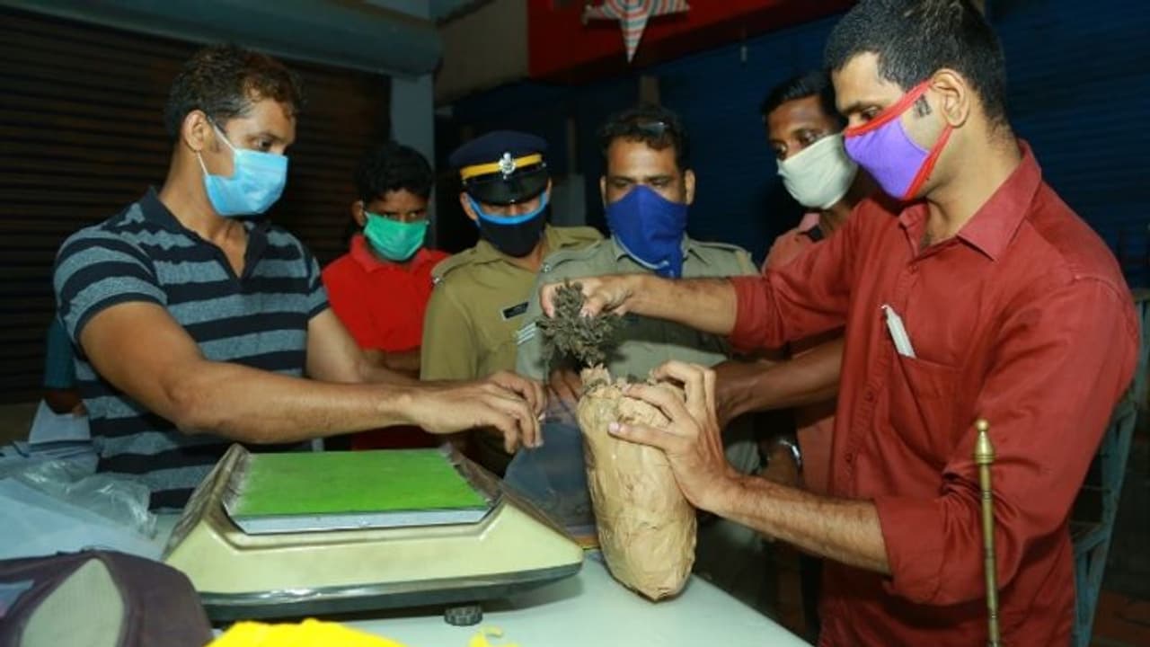 കഞ്ചാവ് വില്പന; ഇടനിലക്കാരൻ പൊലീസ് പിടിയിൽ കഞ്ചാവ് വില്പന; ഇടനിലക്കാരൻ പൊലീസ് പിടിയിൽ