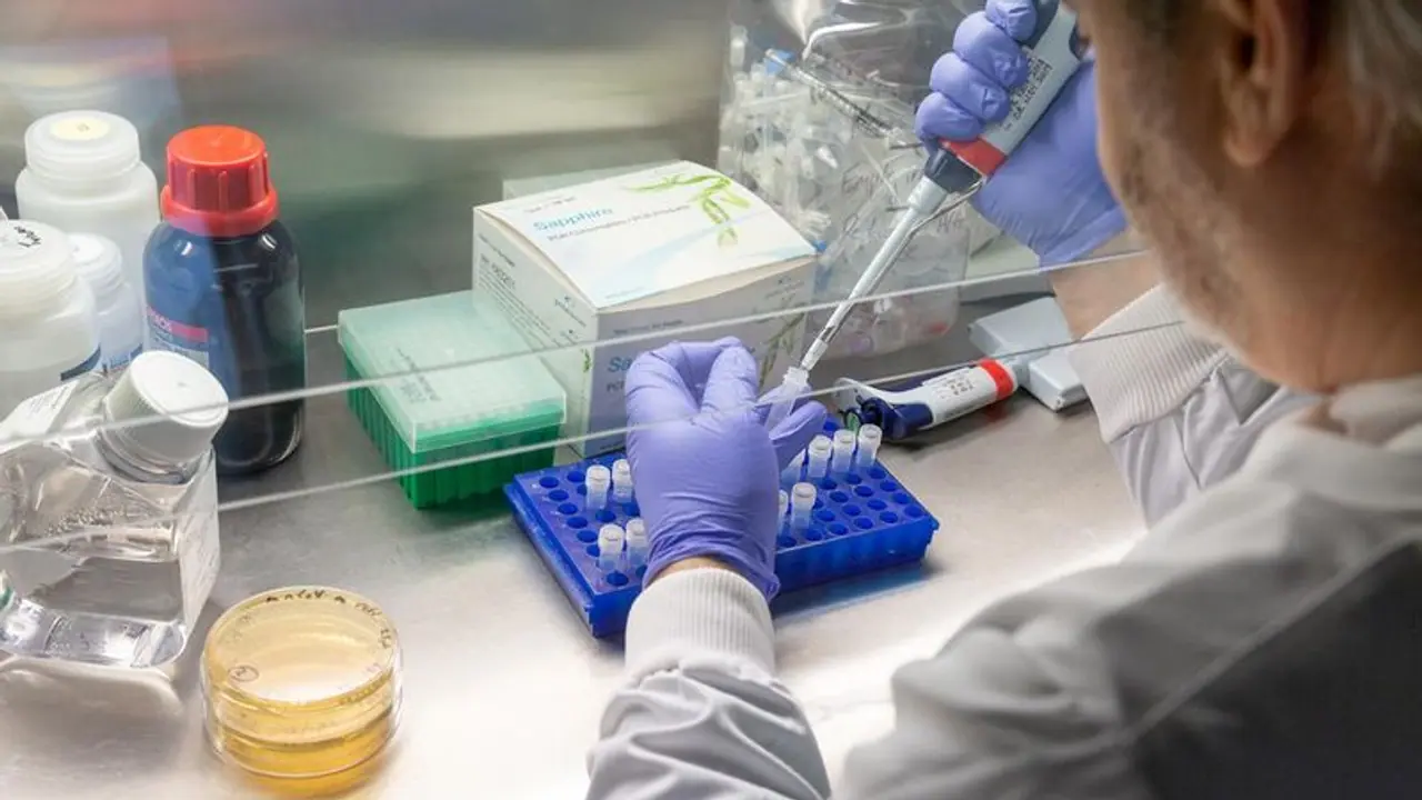 ಚುನಾವಣೆ ನಡುವೆ 1 ಕೋಟಿ ಕೊರೋನಾ ಕೇಸ್‌ನತ್ತ ಅಮೆರಿಕ!