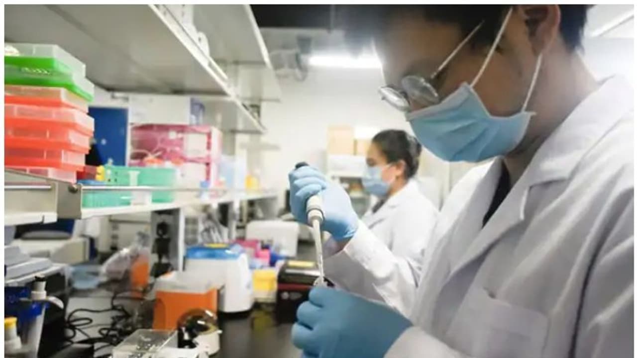 വാക്സിന് കൂടാതെ തന്നെ കൊവിഡ് സുഖപ്പെടുത്താം എന്ന അവകാശവാദവുമായി ചൈനീസ് ലബോറട്ടറി വാക്സിന് കൂടാതെ തന്നെ കൊവിഡ് സുഖപ്പെടുത്താം എന്ന അവകാശവാദവുമായി ചൈനീസ് ലബോറട്ടറി