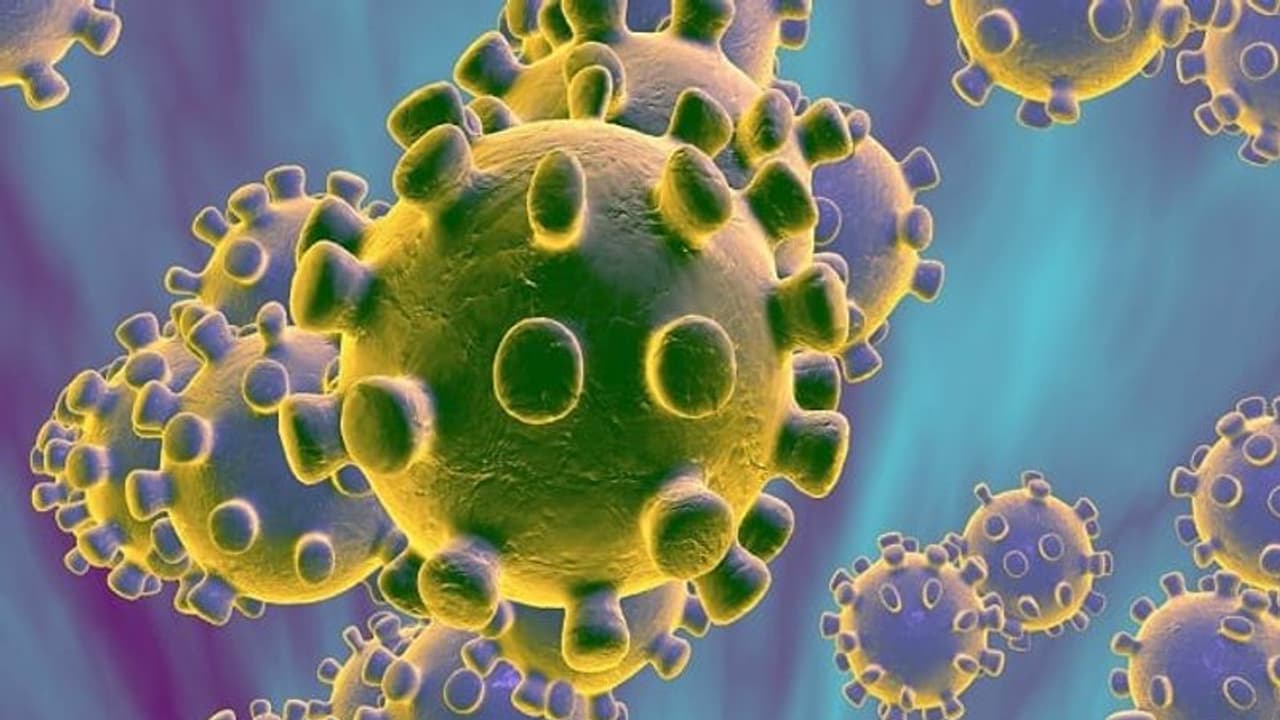 భారత్ లో కరోనా కేసులు.. గత 24గంటల్లో ఎన్ని పెరిగాయంటే.. భారత్ లో కరోనా కేసులు.. గత 24గంటల్లో ఎన్ని పెరిగాయంటే..