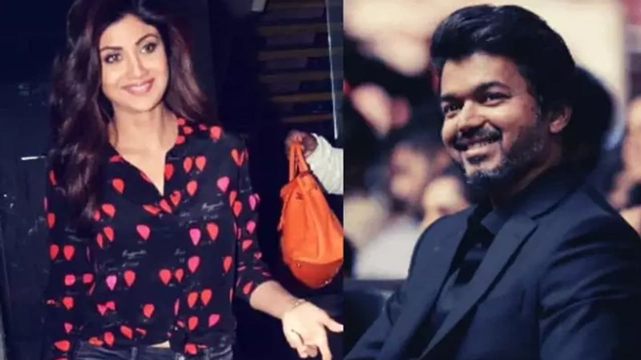 தளபதியால் டாப் ட்ரெண்டிங்கில் இடம் பிடித்த இந்தி நடிகை... டிக் டாக்கை தெறிக்கவிட்ட வேற லெவல் சம்பவம்...!