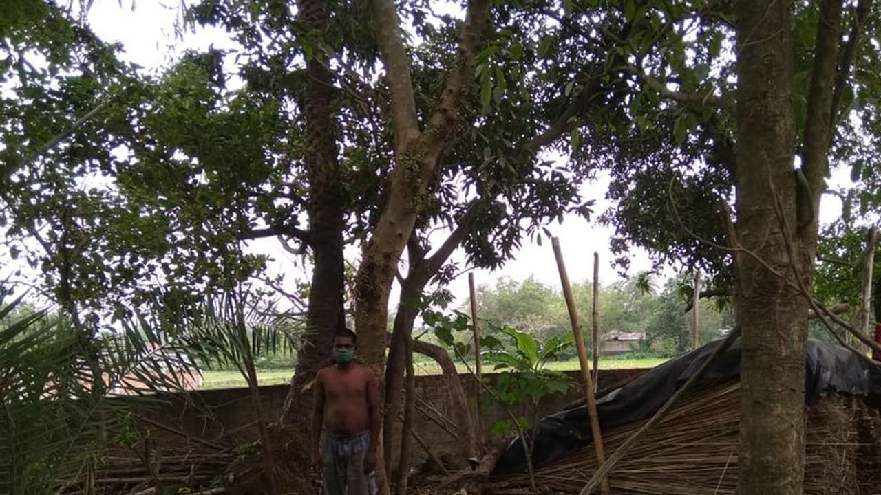 পরিযায়ী শ্রমিকের ঠাঁই নেই বাড়িতে, একাকী দিন কাটছে জঙ্গলে পরিযায়ী শ্রমিকের ঠাঁই নেই বাড়িতে, একাকী দিন কাটছে জঙ্গলে