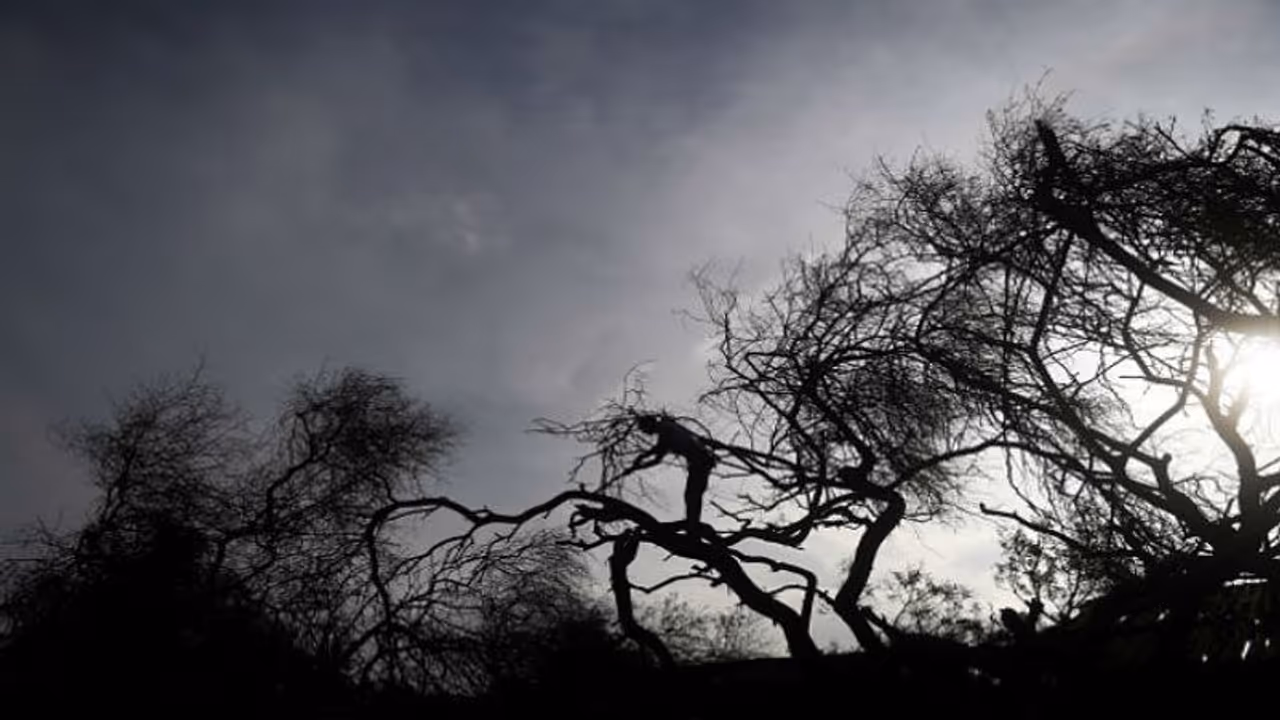 ఆంఫన్ ఎఫెక్ట్: కాకినాడ ఉప్పాడ బీచ్ రోడ్డు ధ్వంసం, 8 ఇళ్లు ధ్వంసం ఆంఫన్ ఎఫెక్ట్: కాకినాడ ఉప్పాడ బీచ్ రోడ్డు ధ్వంసం, 8 ఇళ్లు ధ్వంసం