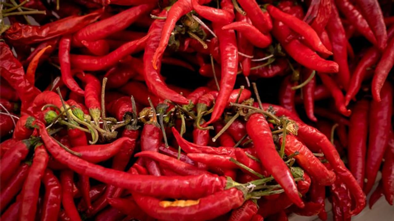 ഇത് അല്‍പം എരിവുള്ള കാര്യമാണ്; മുളക് ചില്ലറക്കാരനല്ല, ചില മുളക് വിശേഷങ്ങള്‍