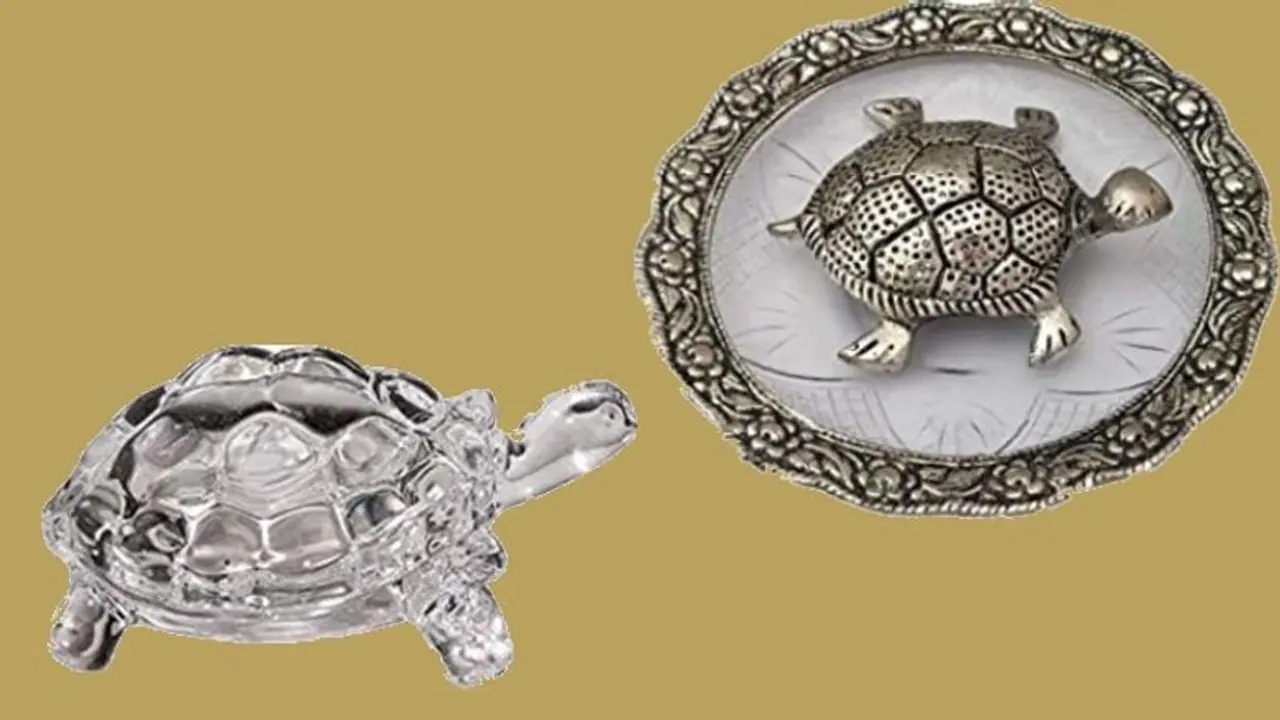 বাড়িতে কি কচ্ছপের ফেং শুই আছে, আপনার অজান্তেই এটি কত উপকার করছে জেনে নিন বাড়িতে কি কচ্ছপের ফেং শুই আছে, আপনার অজান্তেই এটি কত উপকার করছে জেনে নিন