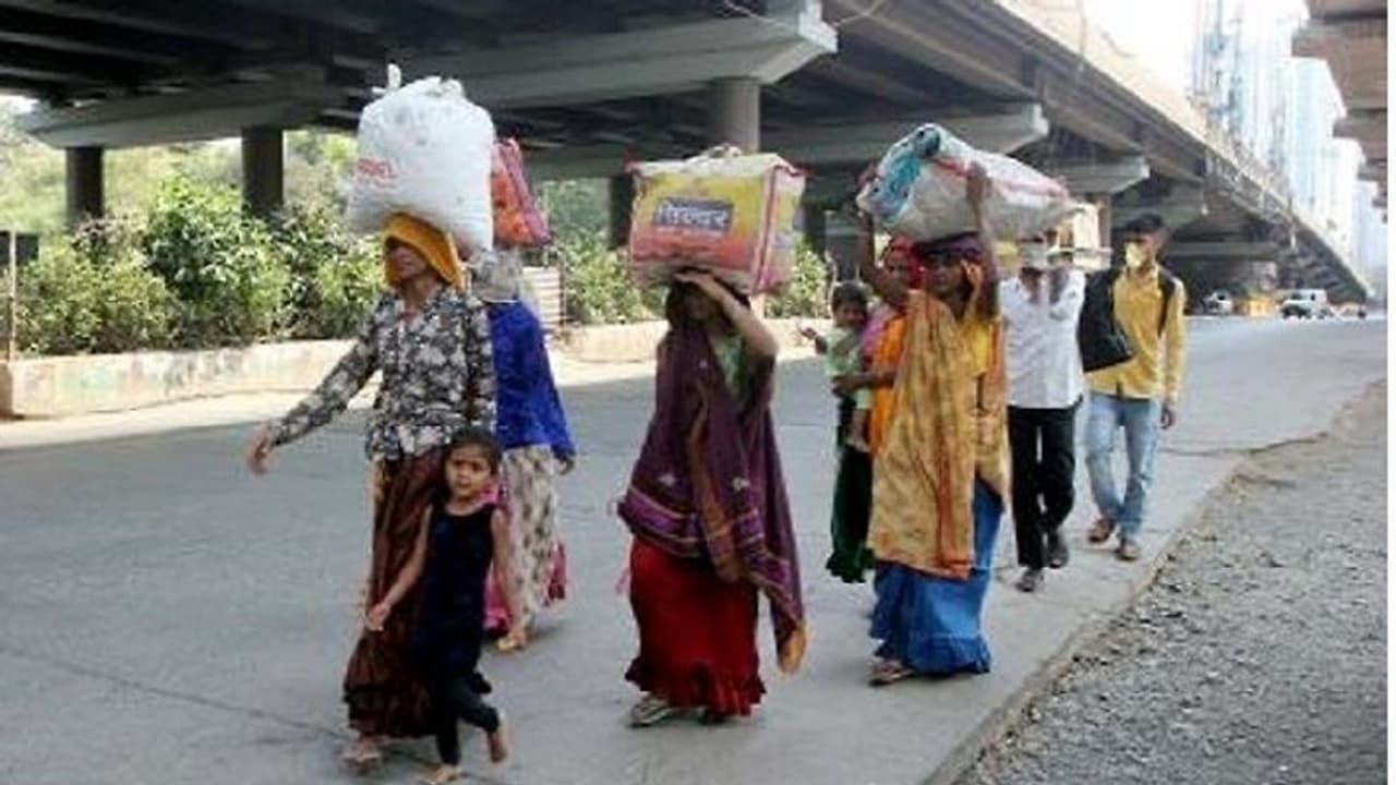 ফের দেশে একদিনে আক্রান্তের সংখ্যা ৫ হাজারের বেশি, বিশ্বে করোনা কেস ৫০ লক্ষ ছাড়াল