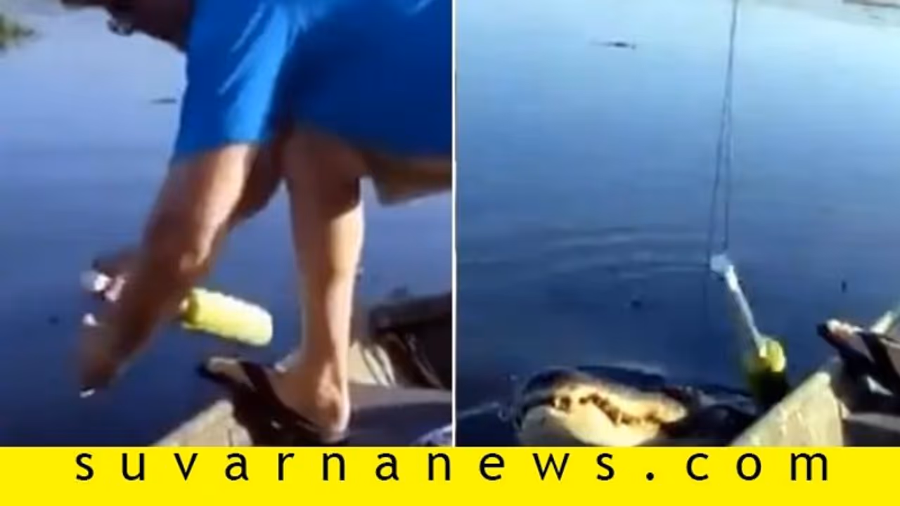 ಮೀನಿಗಾಗಿ ಹಾಕಿದ ಗಾಳಕ್ಕೆ ಬಿತ್ತು ಮೊಸಳೆ!: ಮುಂದೇನಾಯ್ತು ನೀವೇ ನೋಡಿ ಮೀನಿಗಾಗಿ ಹಾಕಿದ ಗಾಳಕ್ಕೆ ಬಿತ್ತು ಮೊಸಳೆ!: ಮುಂದೇನಾಯ್ತು ನೀವೇ ನೋಡಿ