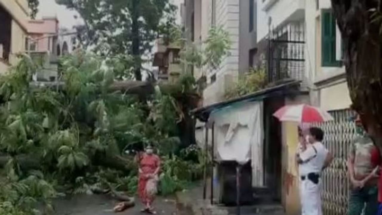তুমুল ঝড় বৃষ্টির জেরে ভেঙে পড়ল কলকাতার একটি বাড়ির কার্নিশ, নিউ আলিপুরে পড়ল গাছও তুমুল ঝড় বৃষ্টির জেরে ভেঙে পড়ল কলকাতার একটি বাড়ির কার্নিশ, নিউ আলিপুরে পড়ল গাছও