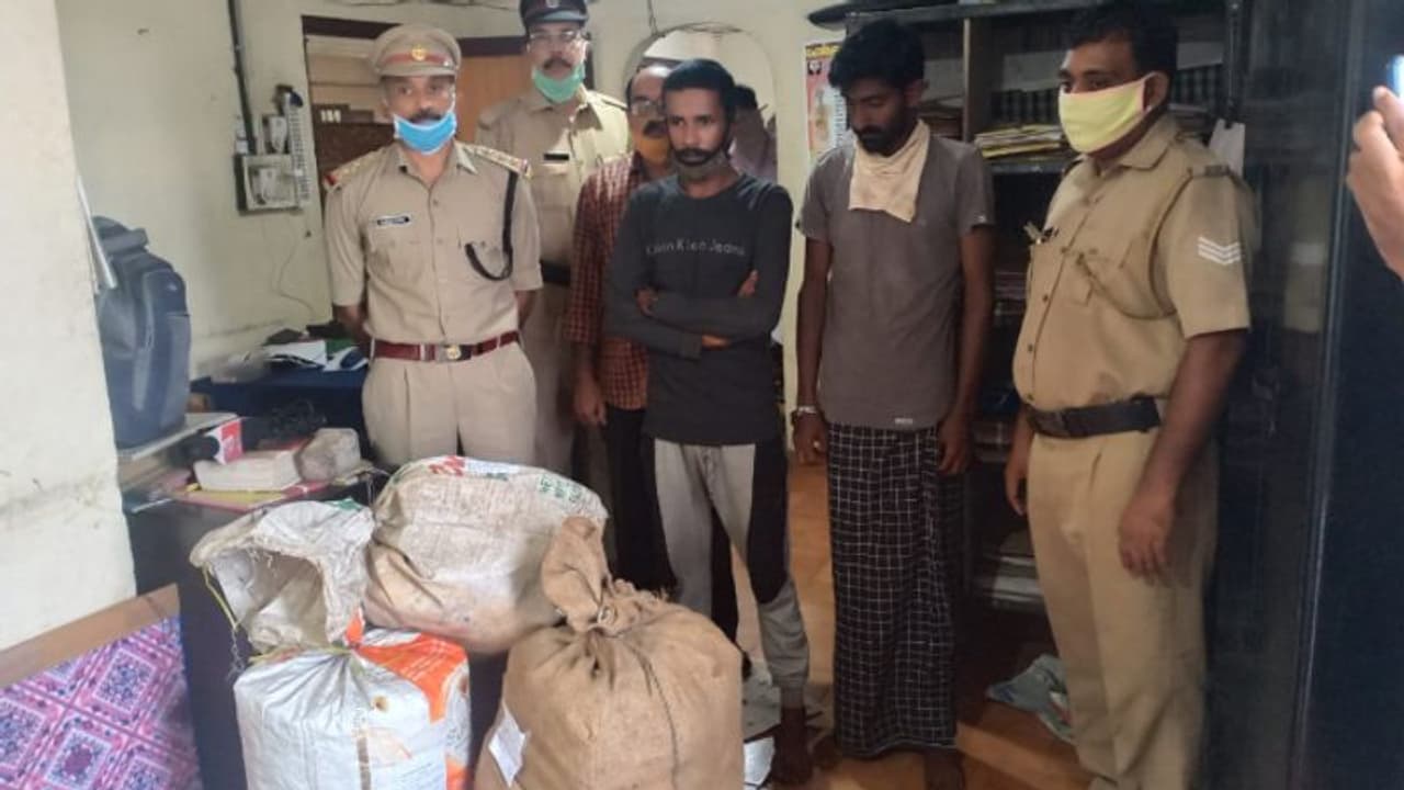തണ്ണിമത്തൻ ലോറിയിൽ കഞ്ചാവ് കടത്ത്: നിലമ്പൂരിൽ 58.5 കിലോ കഞ്ചാവുമായി രണ്ട് പേർ അറസ്റ്റിൽ തണ്ണിമത്തൻ ലോറിയിൽ കഞ്ചാവ് കടത്ത്: നിലമ്പൂരിൽ 58.5 കിലോ കഞ്ചാവുമായി രണ്ട് പേർ അറസ്റ്റിൽ
