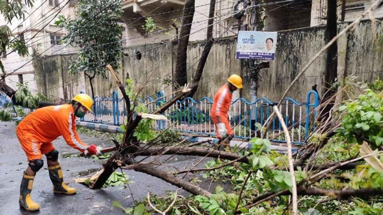 তাণ্ডব থামলেও দুর্যোগ এখনও কাটেনি, জানাল আলিপুর আবহাওয়া দফতর তাণ্ডব থামলেও দুর্যোগ এখনও কাটেনি, জানাল আলিপুর আবহাওয়া দফতর