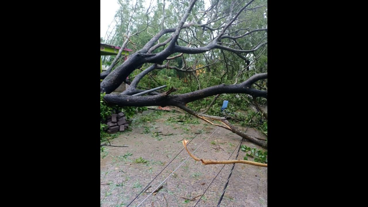 আমফানের ধ্বংসলীলার চিহ্ন তিলত্তমা জুড়ে, বিপর্যস্ত বিদ্যুৎ পরিষেবা আমফানের ধ্বংসলীলার চিহ্ন তিলত্তমা জুড়ে, বিপর্যস্ত বিদ্যুৎ পরিষেবা