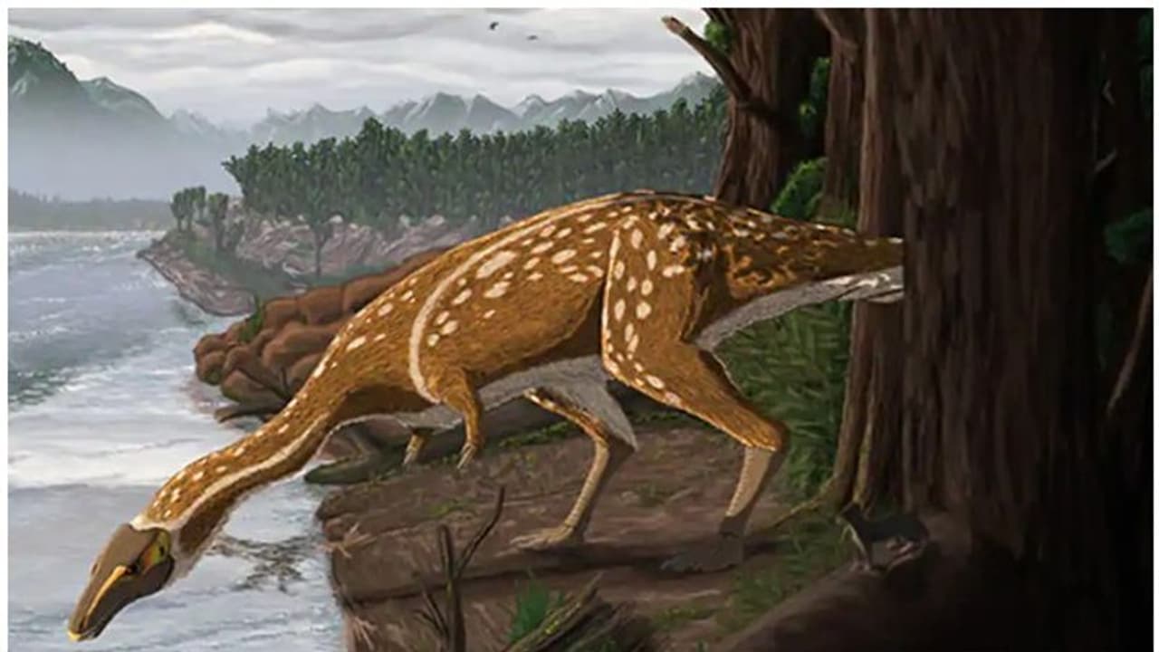 പല്ലുകളില്ലാത്ത ദിനോസറിന്റെ ഫോസില് കണ്ടെത്തി; സസ്യഭുക്കായിരുന്നിരിക്കാമെന്ന് വിദഗ്ദ്ധര് പല്ലുകളില്ലാത്ത ദിനോസറിന്റെ ഫോസില് കണ്ടെത്തി; സസ്യഭുക്കായിരുന്നിരിക്കാമെന്ന് വിദഗ്ദ്ധര്