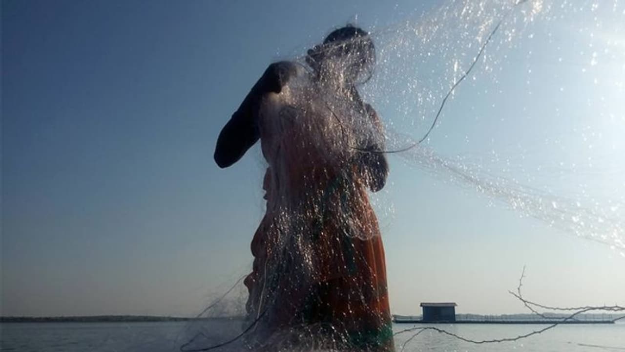 'ജല്ജീവിക' മത്സ്യകര്ഷകരെ സംരംഭകരാക്കി മാറ്റിയ എന്ജിഒ; മികച്ച ലാഭത്തിലേക്ക് ഇവര് നടന്നടുത്തതെങ്ങനെ? 'ജല്ജീവിക' മത്സ്യകര്ഷകരെ സംരംഭകരാക്കി മാറ്റിയ എന്ജിഒ; മികച്ച ലാഭത്തിലേക്ക് ഇവര് നടന്നടുത്തതെങ്ങനെ?