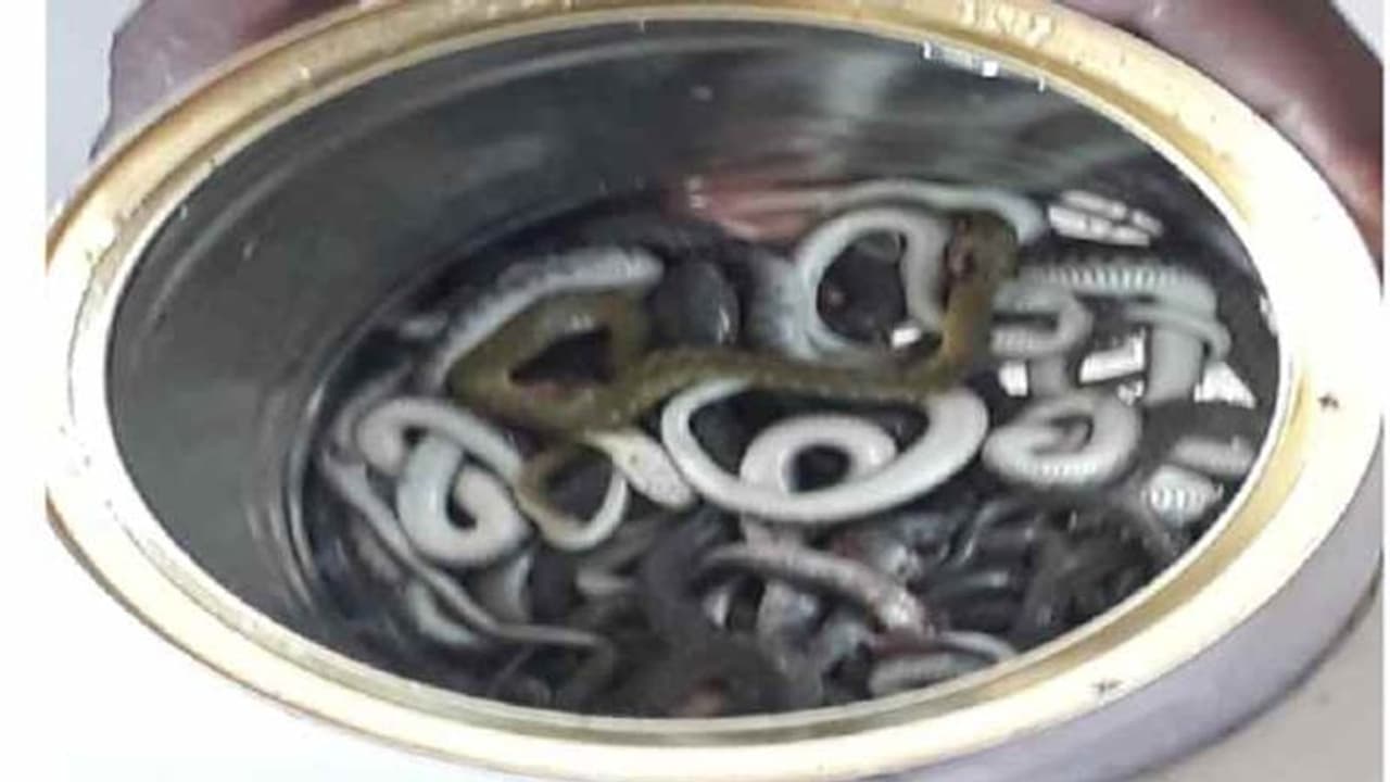 वायरल हुई थी घर में कई सांप मिलने की खबर, मकान मालिक ने कहा इसके पीछे साजिश वायरल हुई थी घर में कई सांप मिलने की खबर, मकान मालिक ने कहा इसके पीछे साजिश