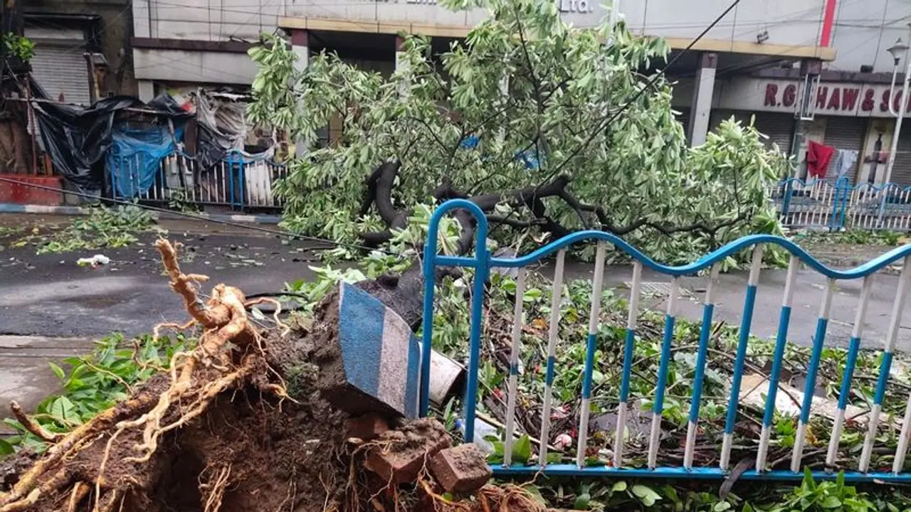 আমফানের আঘাতে অসুস্থ বুড়ো বট পাবে চিকিৎসা, রি প্ল্যান্টেশনও করবে কলকাতা পুরসভা আমফানের আঘাতে অসুস্থ বুড়ো বট পাবে চিকিৎসা, রি প্ল্যান্টেশনও করবে কলকাতা পুরসভা