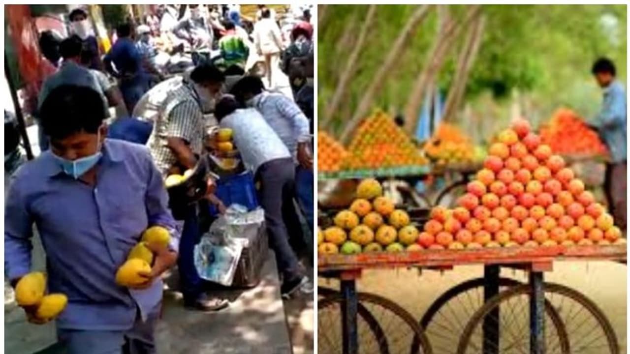 ഉന്തുവണ്ടിയില് പഴങ്ങള് കച്ചവടം ചെയ്യുന്നയാള് വില്പനയ്ക്കായി കൊണ്ടുവന്ന മാങ്ങകള് മോഷ്ടിച്ച് നാട്ടുകാര് ഉന്തുവണ്ടിയില് പഴങ്ങള് കച്ചവടം ചെയ്യുന്നയാള് വില്പനയ്ക്കായി കൊണ്ടുവന്ന മാങ്ങകള് മോഷ്ടിച്ച് നാട്ടുകാര്