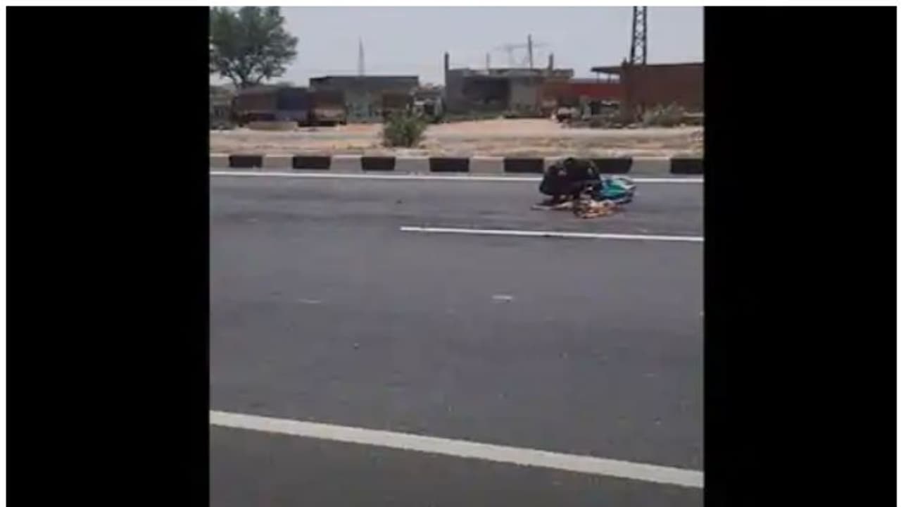 റോഡില് ചത്ത് കിടന്ന നായയെ വിശപ്പ് സഹിക്കാതെ ഭക്ഷിച്ച് കുടിയേറ്റ തൊഴിലാളി; ഹൃദയം തകര്ക്കുന്ന വീഡിയോ റോഡില് ചത്ത് കിടന്ന നായയെ വിശപ്പ് സഹിക്കാതെ ഭക്ഷിച്ച് കുടിയേറ്റ തൊഴിലാളി; ഹൃദയം തകര്ക്കുന്ന വീഡിയോ