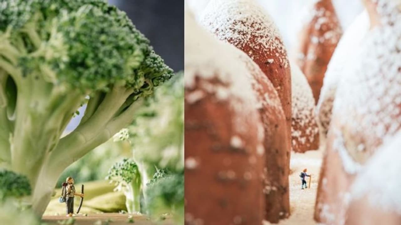 കാട്ടിലും മഞ്ഞ് മൂടിയ കുന്നിലും ലോക്ഡൗണ്‍; സംഭവം എന്താണെന്ന് മനസിലായോ?