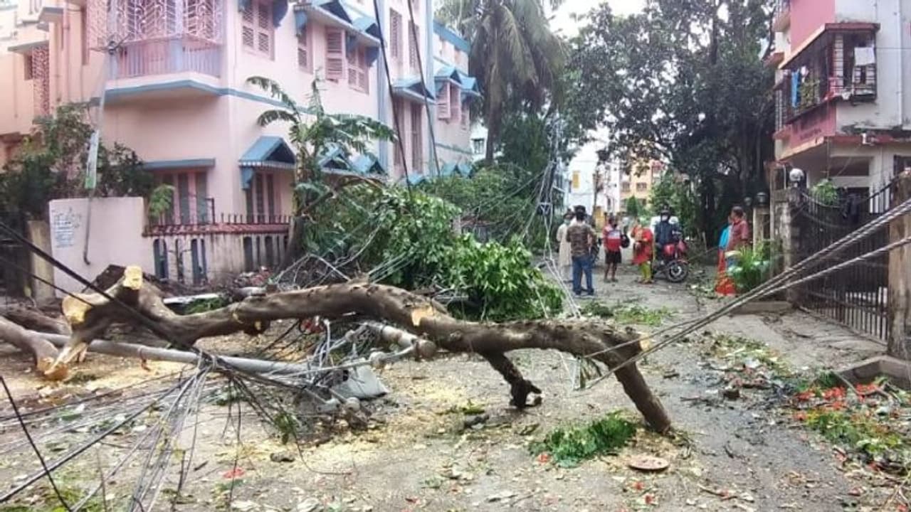 ঘূর্ণীঝড়ের তাণ্ডবে বিপর্যস্ত রাজ্যের অধিকাংশ সাবস্টেশন, এখনও বহু জায়গায় ফেরেনি বিদ্যুৎ পরিষেবা