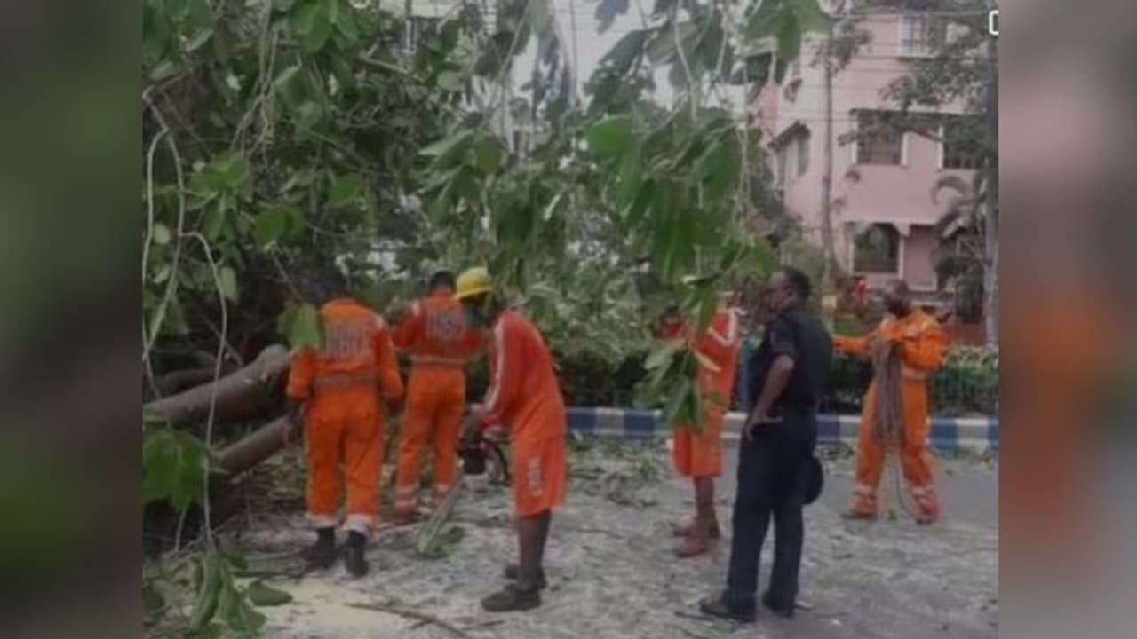 শহরে উদ্ধার কাজে নামল এনডিআরএফ, আরও ৩ দিন সময় লাগতে পারে বলে অনুমান কলকাতা পুরসভার শহরে উদ্ধার কাজে নামল এনডিআরএফ, আরও ৩ দিন সময় লাগতে পারে বলে অনুমান কলকাতা পুরসভার