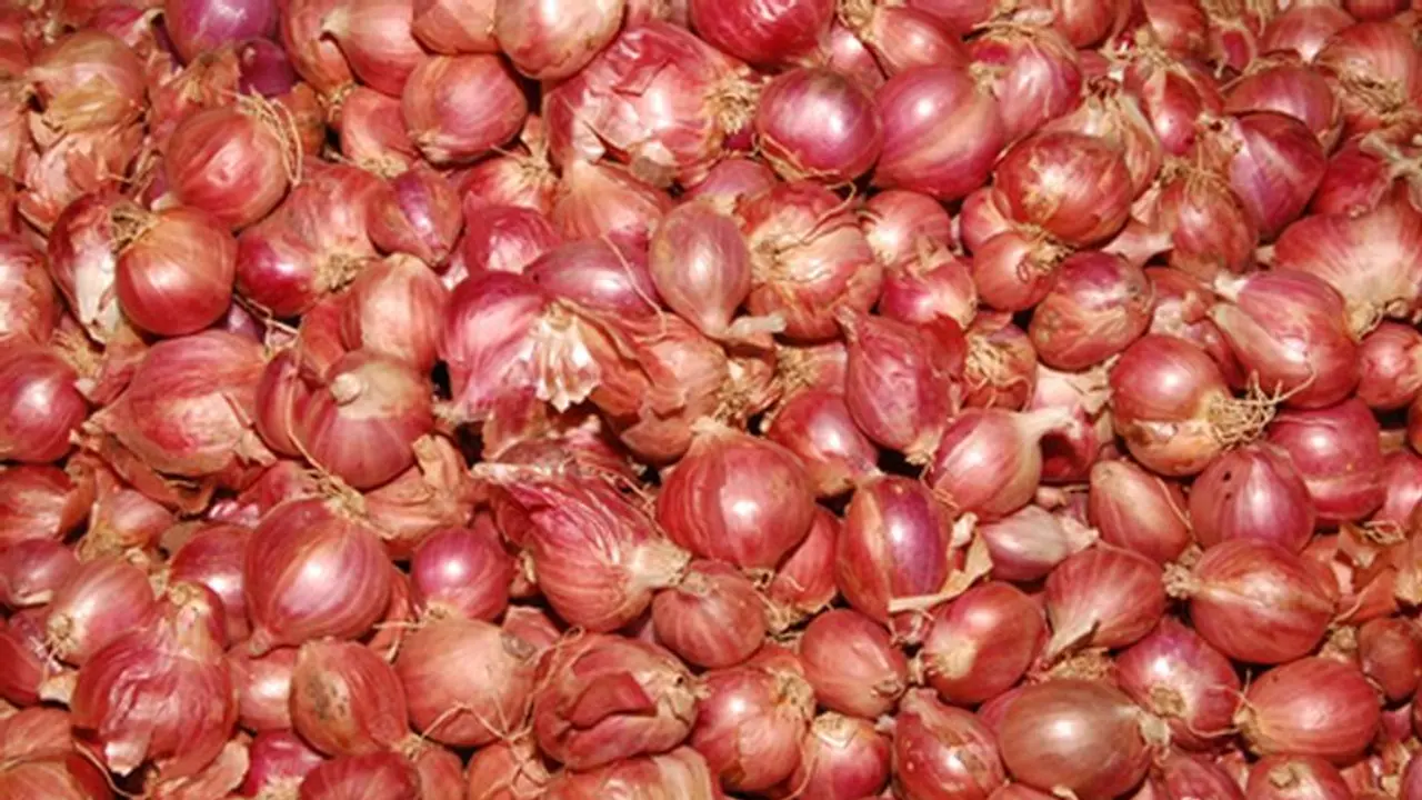 ചെറിയ ഉള്ളി അടുക്കളത്തോട്ടത്തില്; പൂക്കളും ഭക്ഷ്യയോഗ്യം ചെറിയ ഉള്ളി അടുക്കളത്തോട്ടത്തില്; പൂക്കളും ഭക്ഷ്യയോഗ്യം