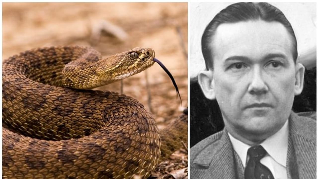 ഇൻഷുറൻസ് തുക തട്ടാൻവേണ്ടി സ്വന്തം ഭാര്യയെ ഉഗ്രവിഷമുള്ള പാമ്പിനെക്കൊണ്ട് കടിപ്പിച്ചു കൊന്ന തട്ടിപ്പുകാരന്റെ കഥ ഇൻഷുറൻസ് തുക തട്ടാൻവേണ്ടി സ്വന്തം ഭാര്യയെ ഉഗ്രവിഷമുള്ള പാമ്പിനെക്കൊണ്ട് കടിപ്പിച്ചു കൊന്ന തട്ടിപ്പുകാരന്റെ കഥ