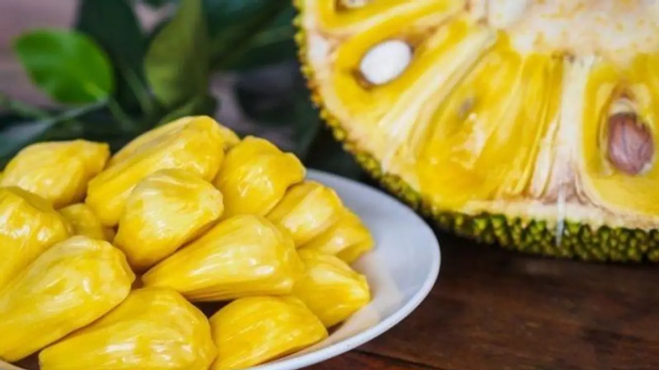 ಹೆದ್ದಾರಿ ಬದಿ ಪ್ರಯಾಣಿಕರಿಗೆ ಉಚಿತ ಹಲಸಿನ ಹಣ್ಣು