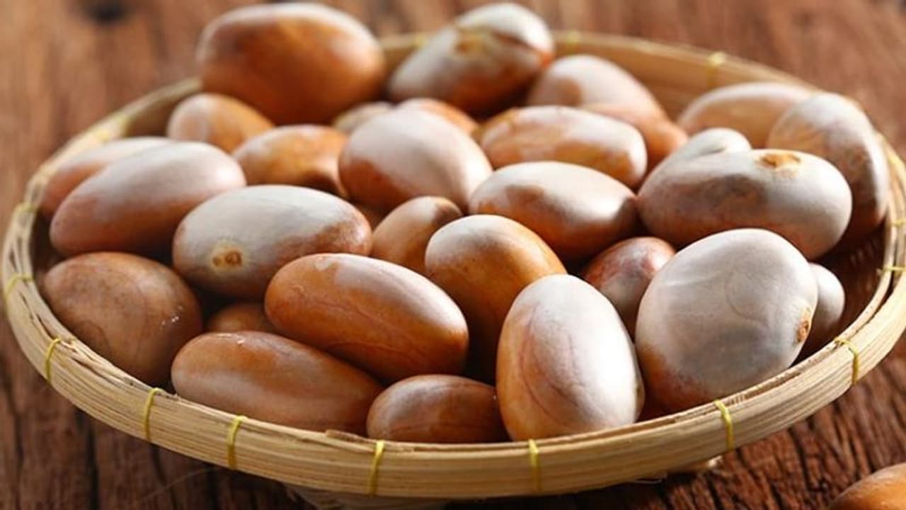  Jackfruit Seed : ചക്കക്കുരു കളയരുതേ, ​ഗുണങ്ങൾ ചെറുതൊന്നുമല്ല