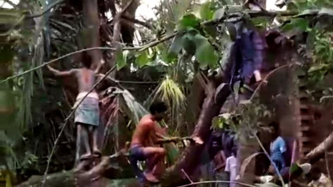 আমফান বিদায়ের তিনদিন পরও ঝড়ের বলি ফল ব্যবসায়ী, কোথায় গেল 'মানবিক প্রশাসন' আমফান বিদায়ের তিনদিন পরও ঝড়ের বলি ফল ব্যবসায়ী, কোথায় গেল 'মানবিক প্রশাসন'