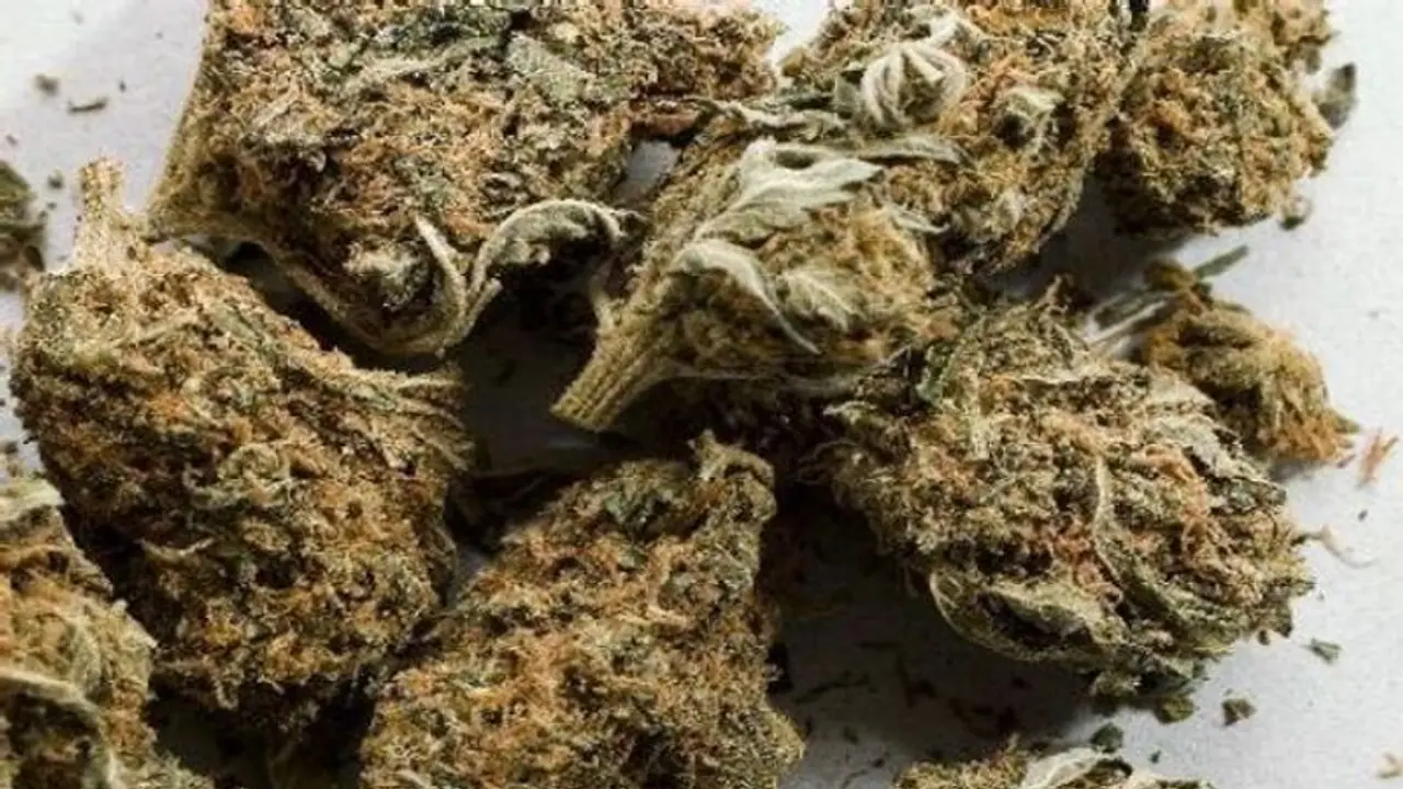 പുല്പ്പള്ളിയില് എംഡിഎംഎയും മാനന്തവാടിയില് കഞ്ചാവും പിടികൂടി; 64 കാരൻ ഉൾപ്പെടെ മൂന്നുപേര് അറസ്റ്റില് പുല്പ്പള്ളിയില് എംഡിഎംഎയും മാനന്തവാടിയില് കഞ്ചാവും പിടികൂടി; 64 കാരൻ ഉൾപ്പെടെ മൂന്നുപേര് അറസ്റ്റില്