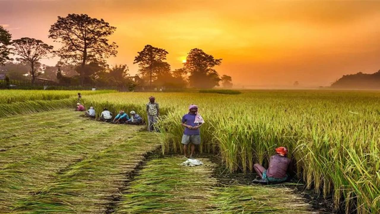 കർഷക ക്ഷേമത്തിന് 2000 രൂപ; പിഎം കിസാൻ സമ്മാൻനിധിയുടെ 14 ാം ഗഡുവിനായി ഇപ്പോൾ അപേക്ഷിക്കാം കർഷക ക്ഷേമത്തിന് 2000 രൂപ; പിഎം കിസാൻ സമ്മാൻനിധിയുടെ 14 ാം ഗഡുവിനായി ഇപ്പോൾ അപേക്ഷിക്കാം