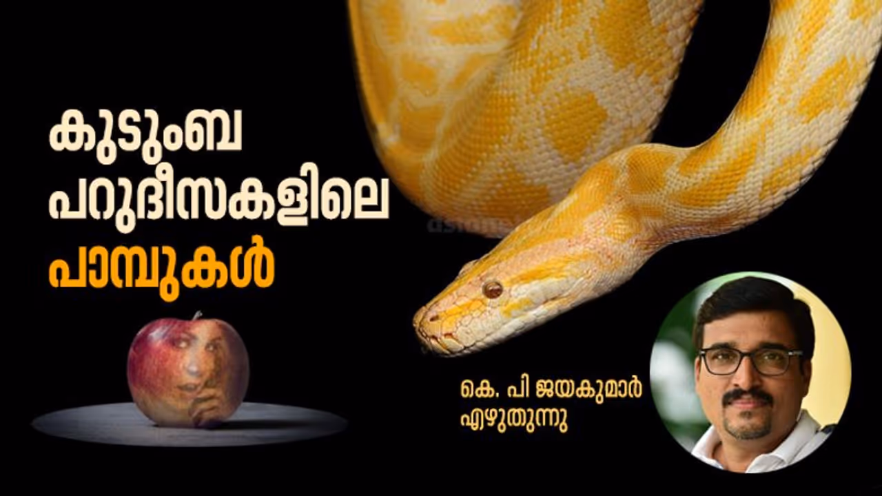 കുടുംബ പറുദീസകളിലെ പാമ്പുകള്‍
