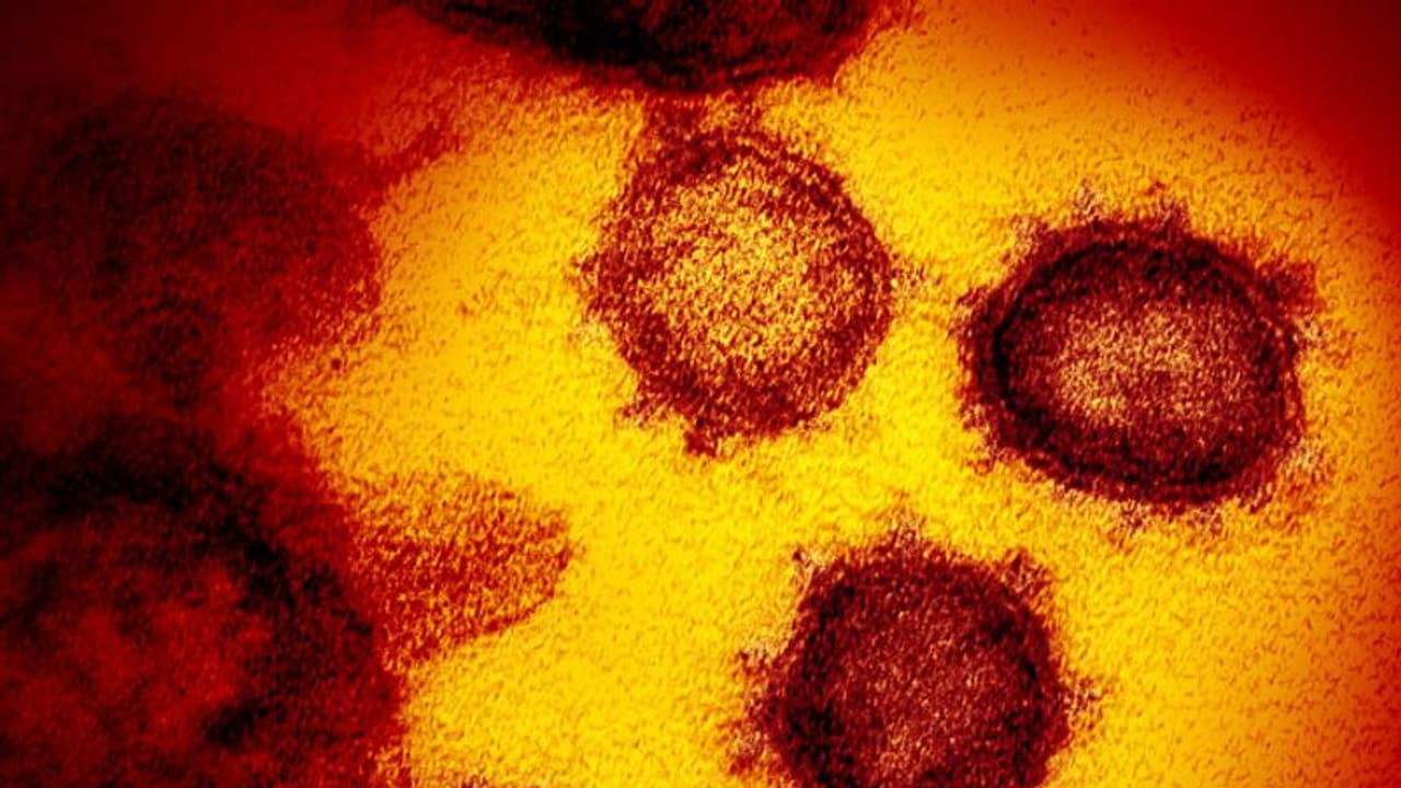 Kerala reports 67 new COVID 19 cases, the biggest daily spike yet