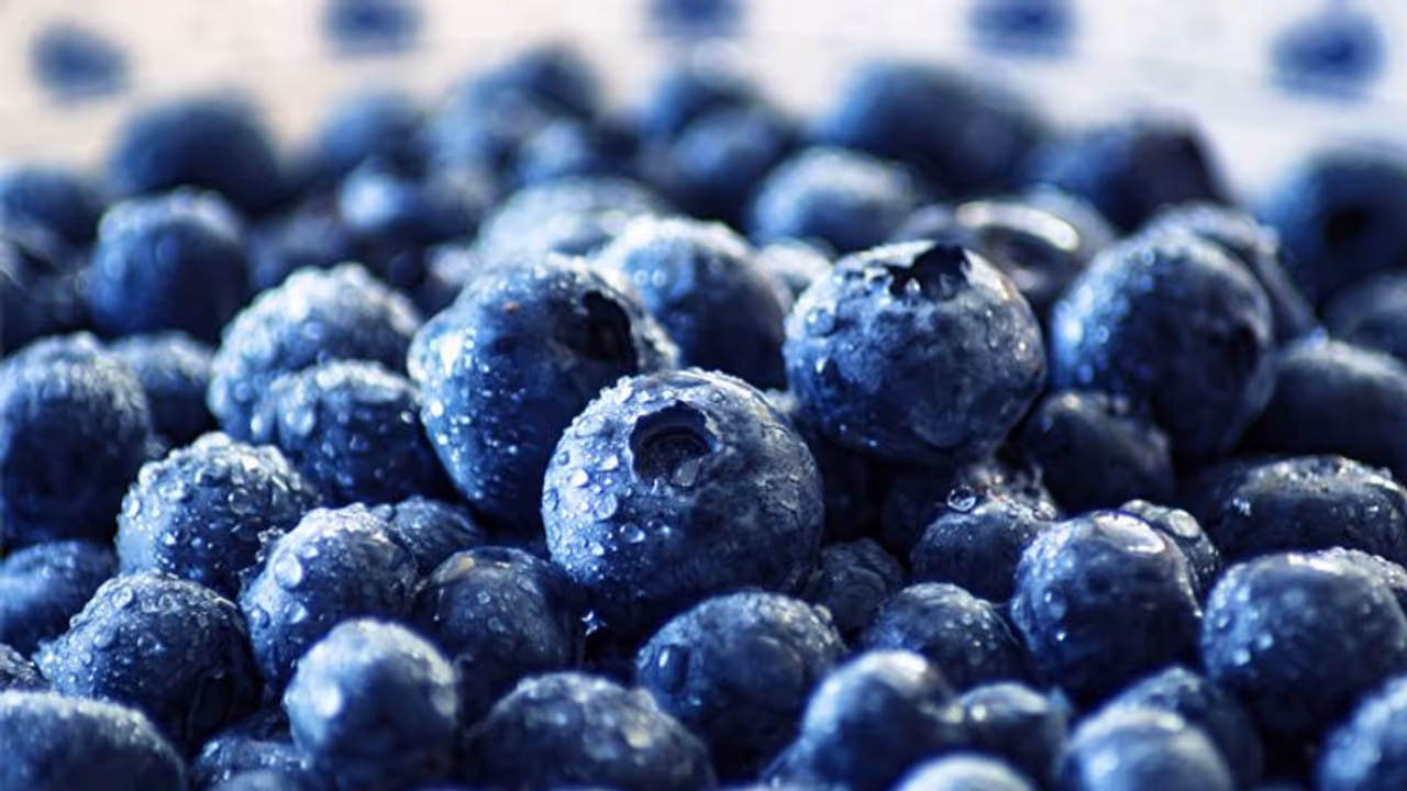 ജൈവരീതിയില്‍ ബ്ലൂബെറി വളര്‍ത്താം; ഈ സൂപ്പര്‍ ഫുഡ്ഡിന് ഗുണങ്ങളേറെ...
