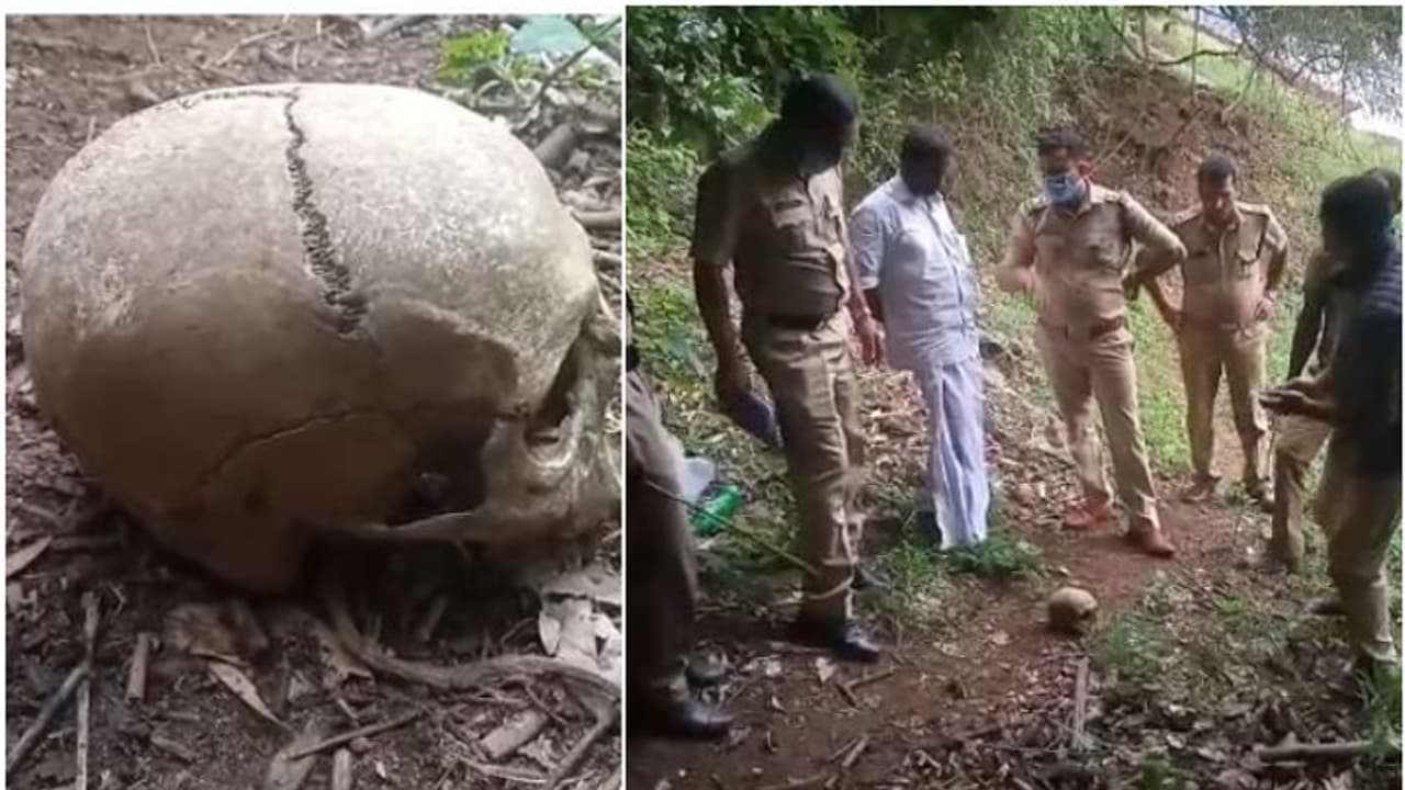 ഇടുക്കി പൊന്മുടി ജലാശയത്തിന് സമീപം മനുഷ്യൻറെ തലയോട്ടി കണ്ടെത്തി