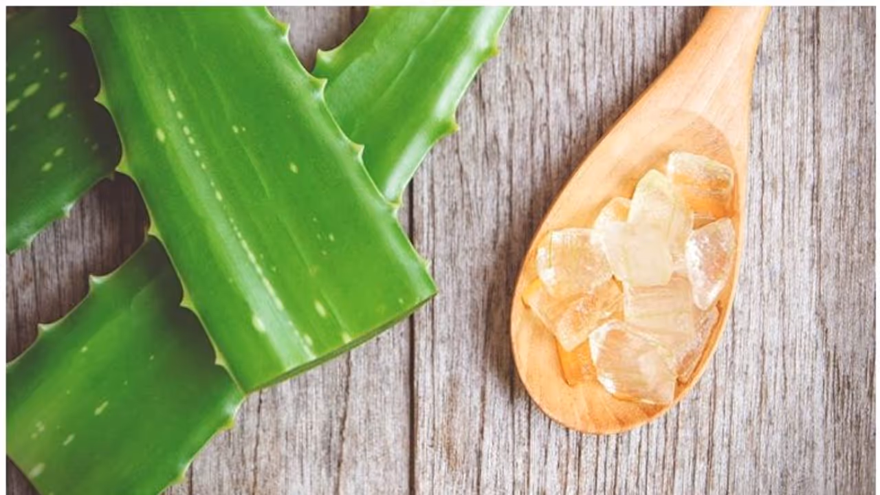 Aloe Vera Face Pack : മുഖകാന്തി കൂട്ടാൻ കറ്റാർവാഴ കൊണ്ടുള്ള ഫേസ് പാക്കുകൾ