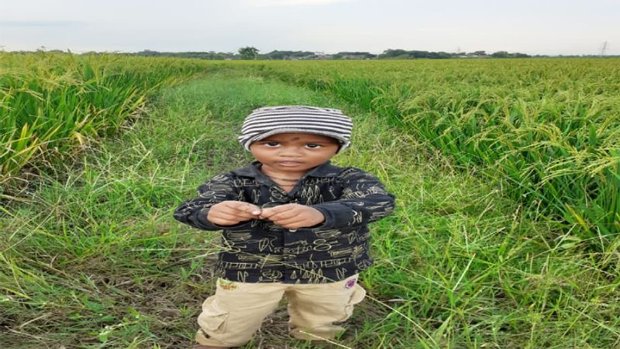 మెదక్ జిల్లాలో బోరుబావిలో పడిన మూడేళ్ల బాలుడు మెదక్ జిల్లాలో బోరుబావిలో పడిన మూడేళ్ల బాలుడు