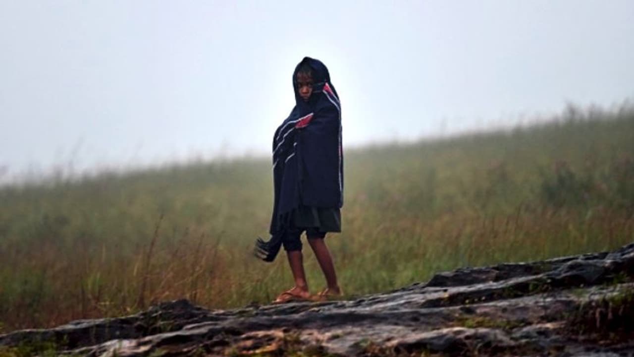 সাতদিন পরও উত্তর পূর্বে ভেল্কি দেখাচ্ছে ঘূর্ণিঝড় আমফান, মেঘালয়ে বিপর্যস্ত ৫.২ লক্ষ মানুষ সাতদিন পরও উত্তর পূর্বে ভেল্কি দেখাচ্ছে ঘূর্ণিঝড় আমফান, মেঘালয়ে বিপর্যস্ত ৫.২ লক্ষ মানুষ