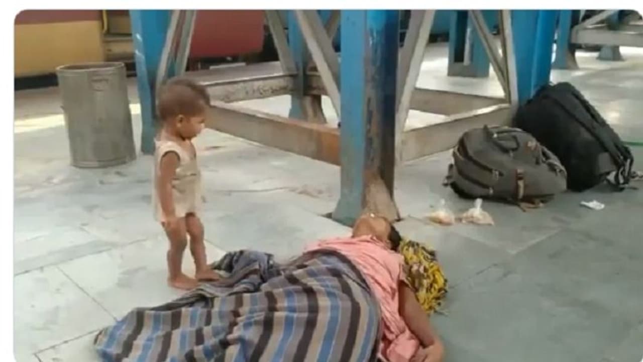 48 घंटे के अंदर ट्रेनों में 9 यात्रियों की मौत, सामने आई दिल दहला देने वाली Photo, ट्विटर पर वायरल ये video 48 घंटे के अंदर ट्रेनों में 9 यात्रियों की मौत, सामने आई दिल दहला देने वाली Photo, ट्विटर पर वायरल ये video