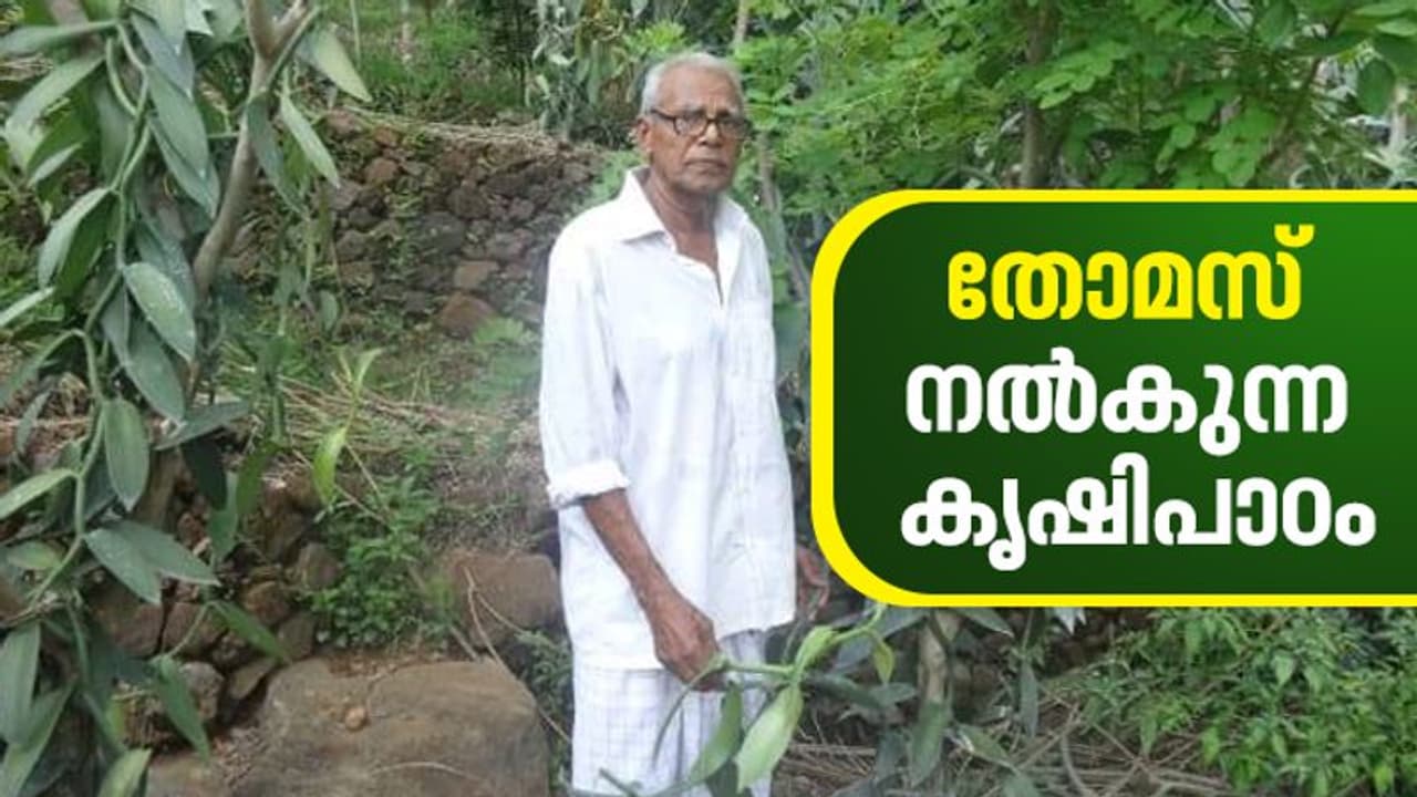 ലോക്ക്ഡൗണില്‍ വില്‍ക്കാന്‍ കഴിയാത്തത് നാണ്യവിളകള്‍; ഇത് തോമസിന്റെ കൃഷിഭൂമിയില്‍ നിന്നുള്ള കാഴ്ച