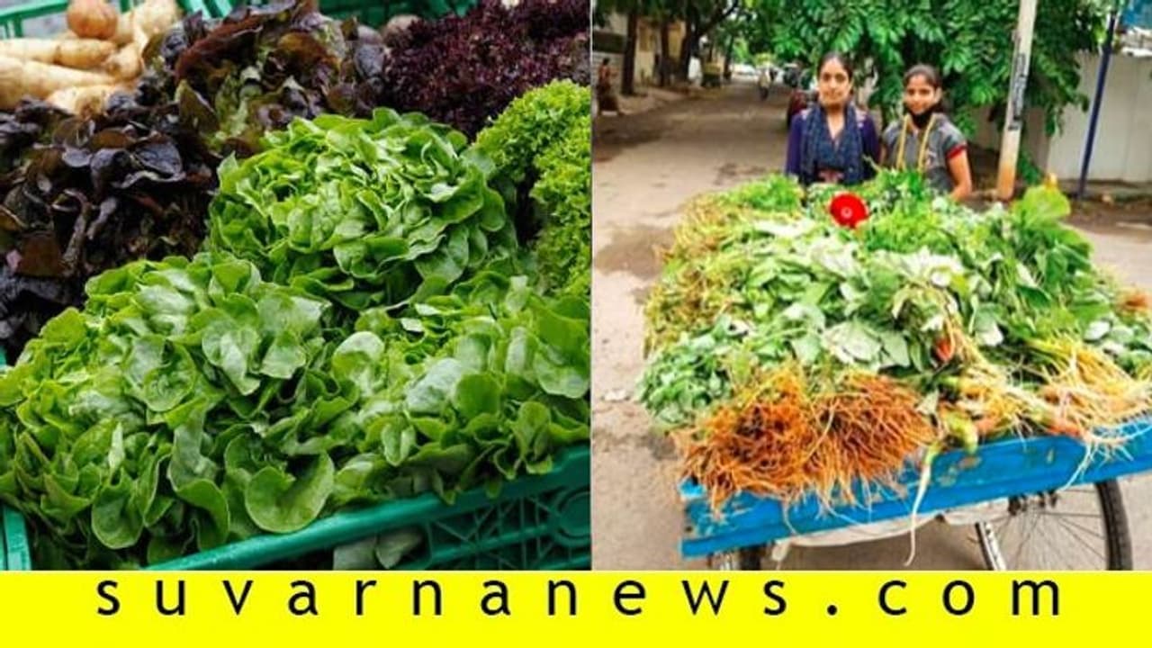 ಅಕೌಂಟೆಂಟ್‌ ಕೆಲ್ಸ ಹೋಯ್ತು: ಸೊಪ್ಪು ಮಾರಿ ಬದುಕು ಕಟ್ಟಿಕೊಳ್ತಿದ್ದಾರೆ ದಿಟ್ಟ ಯುವತಿಯರು