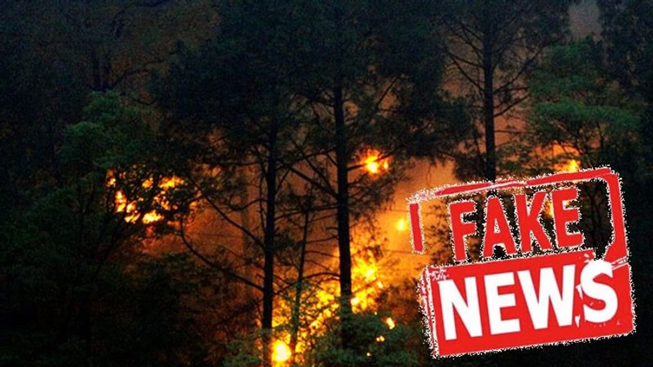 সোশ্যাল মিডিয়ায় ছড়াচ্ছে ভুয়ো খবর, দাবানলে জ্বলছে না দেবভূমি দাবি করলেন মুখ্যমন্ত্রী সোশ্যাল মিডিয়ায় ছড়াচ্ছে ভুয়ো খবর, দাবানলে জ্বলছে না দেবভূমি দাবি করলেন মুখ্যমন্ত্রী