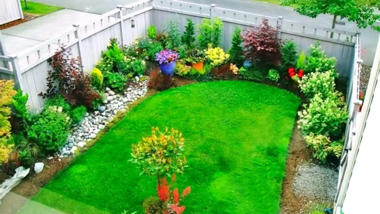 ಏನು ಮಾಡಿದರೂ ಕೈಯಲ್ಲಿ ದುಡ್ಡು ನಿಲ್ತಾ ಇಲ್ವಾ? ಈ ಗಿಡ ನೆಟ್ಟು ನೋಡಿ ಏನು ಮಾಡಿದರೂ ಕೈಯಲ್ಲಿ ದುಡ್ಡು ನಿಲ್ತಾ ಇಲ್ವಾ? ಈ ಗಿಡ ನೆಟ್ಟು ನೋಡಿ