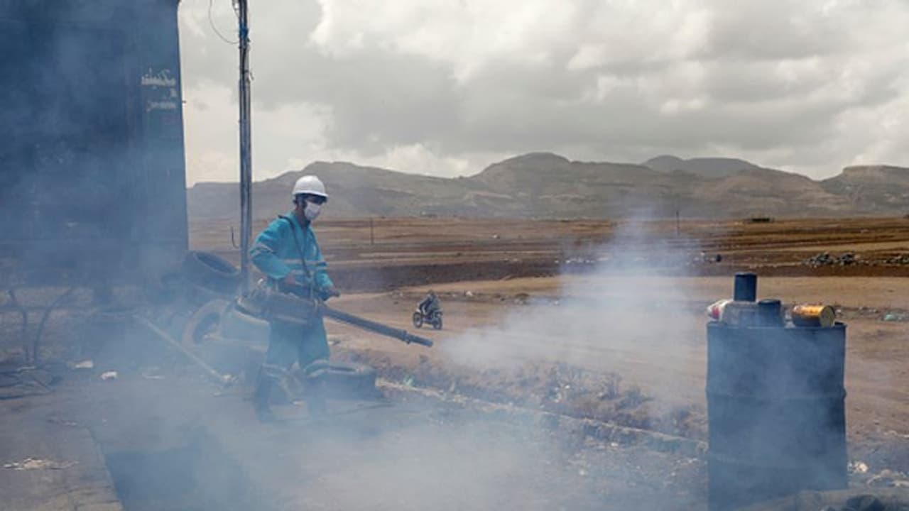 ജീവിക്കാൻ ഗതിയില്ല, കൊറോണാ കാലത്ത് കുട്ടികളെ ബാലവേലക്കും, ഭിക്ഷാടനത്തിനും പറഞ്ഞയച്ച് യെമനിലെ മാതാപിതാക്കൾ ജീവിക്കാൻ ഗതിയില്ല, കൊറോണാ കാലത്ത് കുട്ടികളെ ബാലവേലക്കും, ഭിക്ഷാടനത്തിനും പറഞ്ഞയച്ച് യെമനിലെ മാതാപിതാക്കൾ