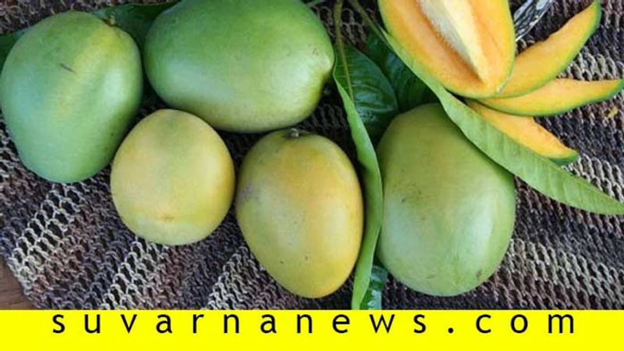 ಮಾವಿನ ಕಾಯಿ ಹುಳಿಯೆಂದು ಹಳಿಯಬೇಡಿ, ಆರೋಗ್ಯಕ್ಕದು ಸಿಹಿಯೇ ಮಾವಿನ ಕಾಯಿ ಹುಳಿಯೆಂದು ಹಳಿಯಬೇಡಿ, ಆರೋಗ್ಯಕ್ಕದು ಸಿಹಿಯೇ