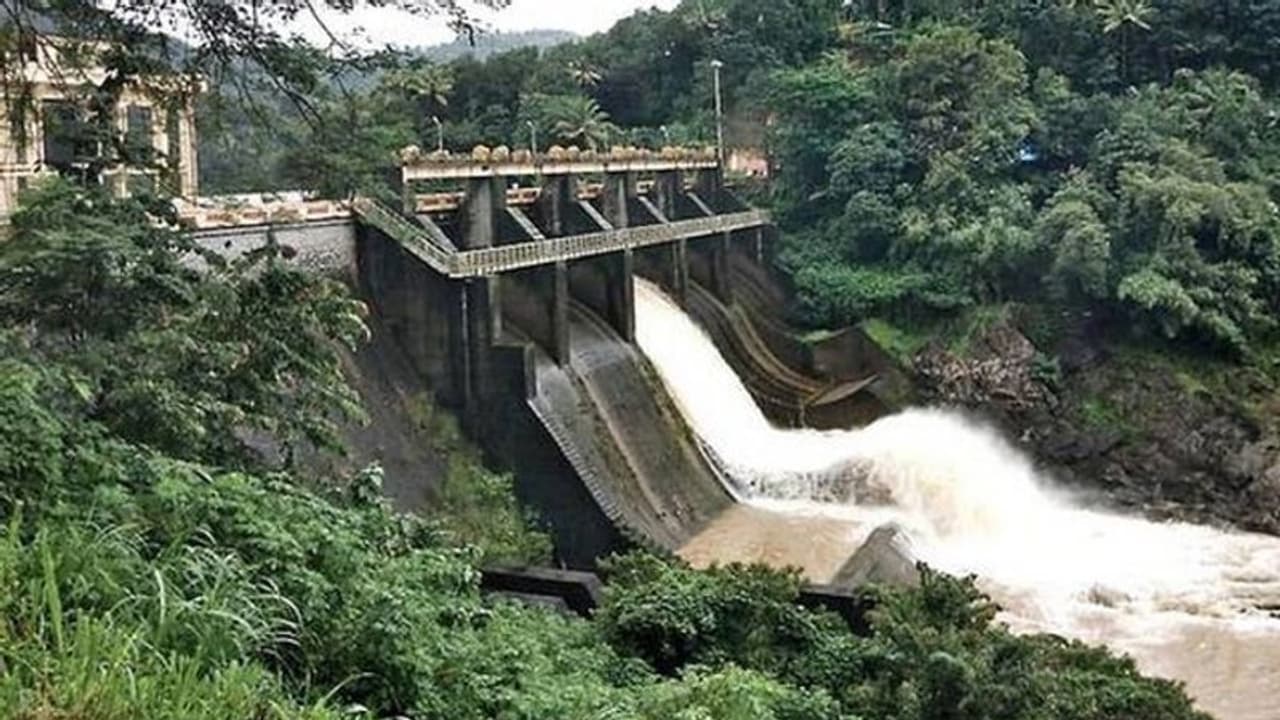 വൃഷ്ടിപ്രദേശങ്ങളിൽ ശക്തമായ മഴ; ഇടുക്കിയിൽ രണ്ട് അണക്കെട്ടുകൾ നാളെ തുറക്കും