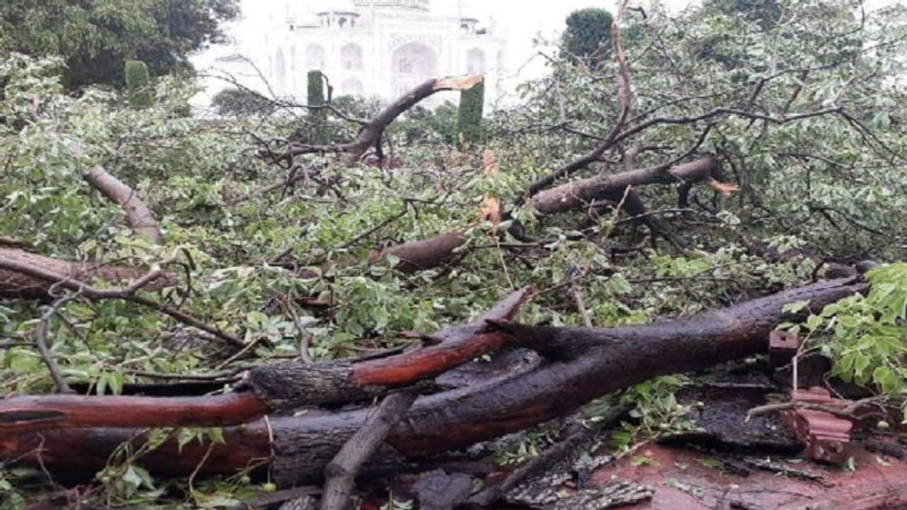 35 मिनट में 3 लोगों की मौत, 200 पेड़ उखड़े, ताजमहल के मुख्य मकबरे की रेलिंग भी टूटी 35 मिनट में 3 लोगों की मौत, 200 पेड़ उखड़े, ताजमहल के मुख्य मकबरे की रेलिंग भी टूटी