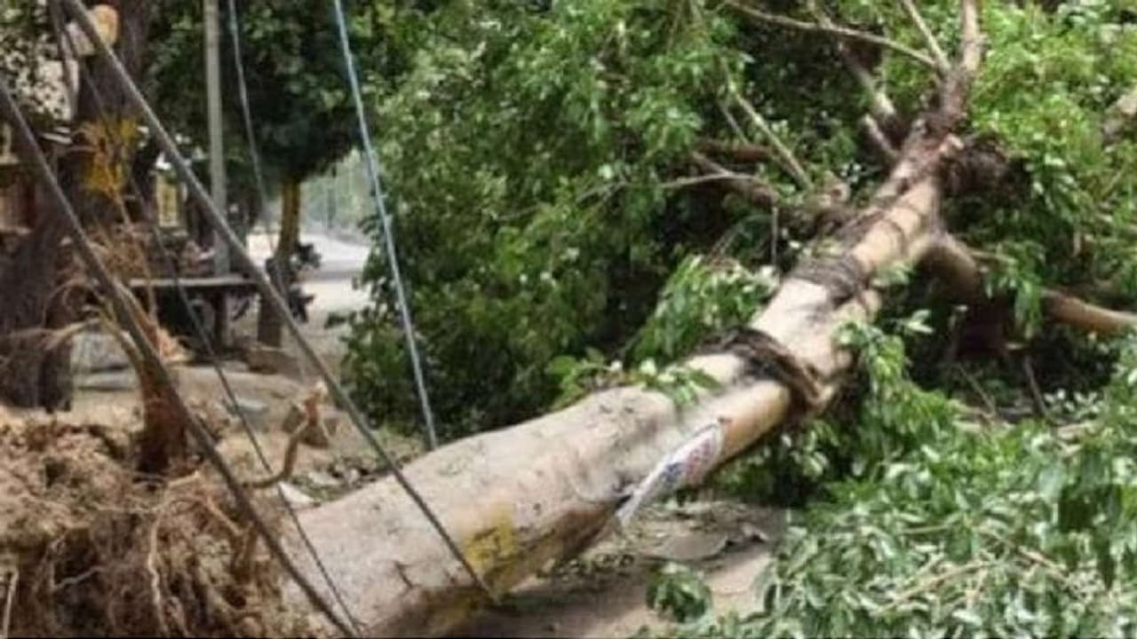 यूपी में आंधी पानी से 28 लोगों की मौत, टूटा 61 साल का रिकार्ड, CM योगी ने की ये घोषणा यूपी में आंधी पानी से 28 लोगों की मौत, टूटा 61 साल का रिकार्ड, CM योगी ने की ये घोषणा